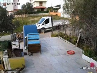 İzmir'de bir kamyonet köpeği ezip geçti