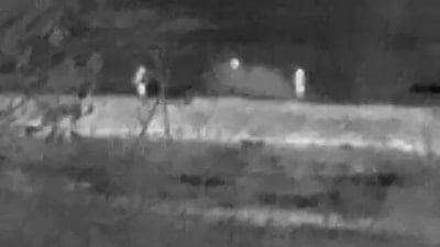 Bartın'da kaçak avcılar drone kameralarına yakalandı