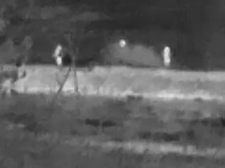 Bartın'da kaçak avcılar drone kameralarına yakalandı