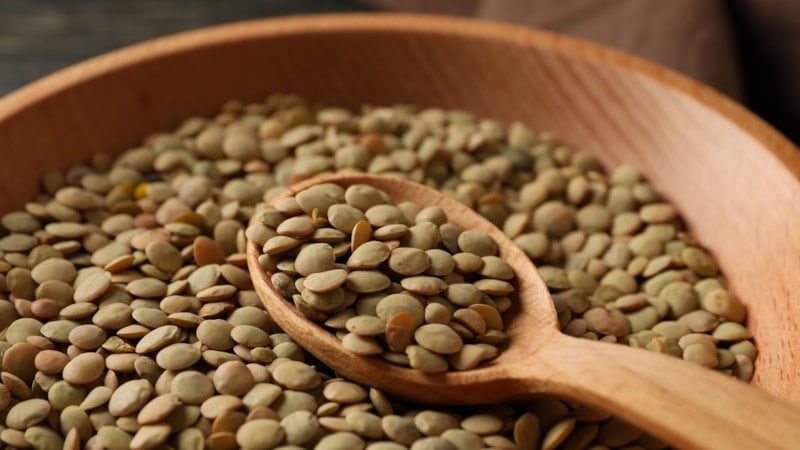 Yeşil mercimeğin gerçek besin profili