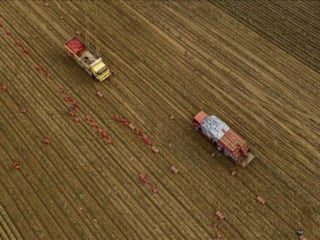 Tarım üreticilerin fiyatları yılda yüzde 36,01 arttı