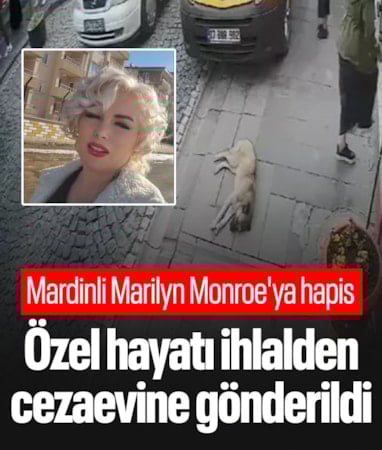 Mardin'de özel hayatın gizliliğini ihlalden hapis cezası alan kadın teslim oldu