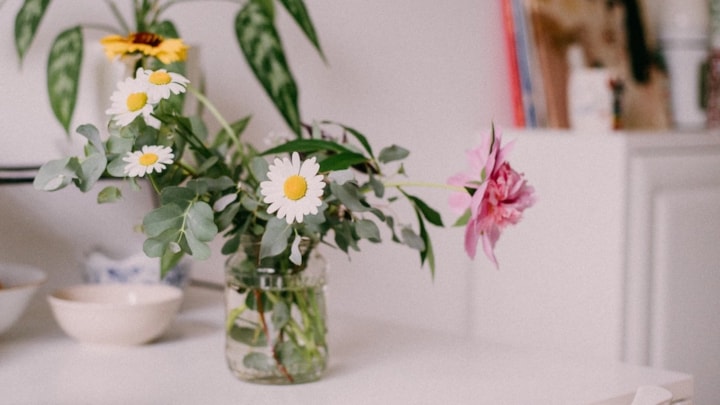 Evde tutulan çiçek ne zaman sorun haline gelir