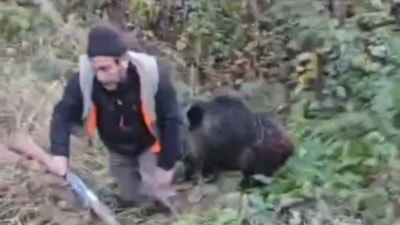 Trabzon'da avcının domuzla mücadelesi