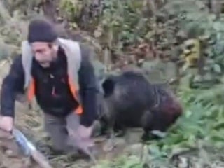 Trabzon'da avcının domuzla mücadelesi