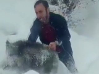 Sinop'ta eliyle domuz yakalayan kişiye 15 bin TL para cezası