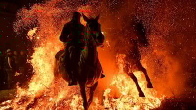 İspanya'da kutsanan atlar ateşin üzerinden atlatıldı