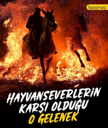 İspanya'da kutsanan atlar ateşin üzerinden atlatıldı