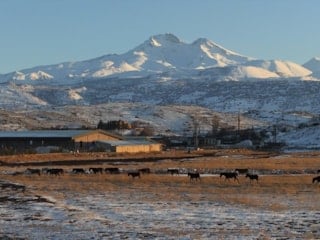 Hürmetçi Sazlığı’nda yılkı atları gün batımında görsel şölen sundu
