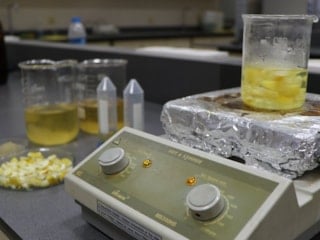 Ağaç kavunu kabuğundan çevreci ‘süper emici hidrojel’