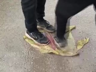 Suriye'nin Tabka kentinde teröristlerin afişleri parçalandı