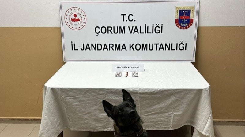 Çorum'da uyuşturucu hapla yakalanan 3 kişi gözaltına alındı
