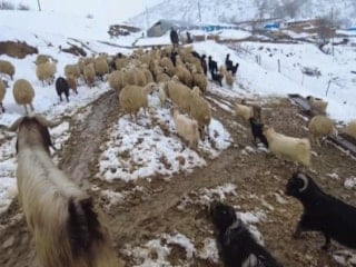 Erzincan köylerinde kış mesaisi