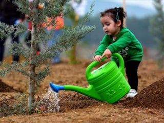 2026'da fidan üretimi ve yangınla mücadele filosu genişletecek