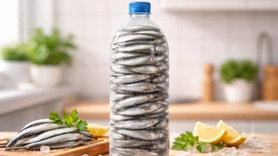 Balıkçıların buzluk sırrı: Hamsiyi böyle saklayın...