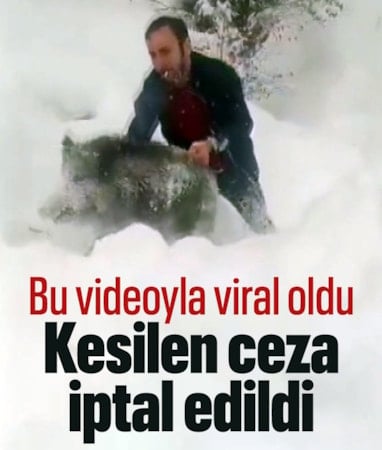 Sinop'ta elleriyle domuz yakaladığı video viral olan kişinin cezası iptal edildi
