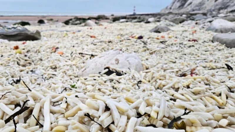 İngiltere'deki sahil tonlarca kilo patates ve soğanla doldu