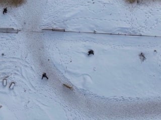 Elazığ'da doğa çekimi yaparken köpekler saldırdı