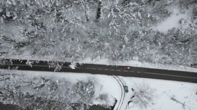 Bartın'da ağaçlı yolun büyüleyen manzarası