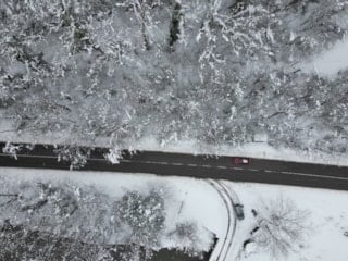 Bartın'da ağaçlı yolun büyüleyen manzarası