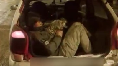 Amasya'da durdurulan araçtan 5 kaçak göçmen çıktı