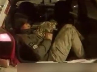 Amasya'da durdurulan araçtan 5 kaçak göçmen çıktı