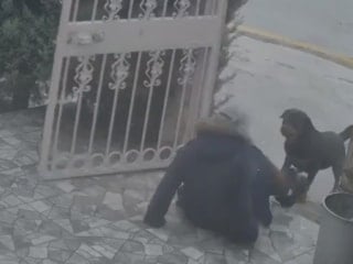 Ankara'da başıboş köpeklerin saldırısına uğradı