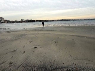 Marmara Denizi'nde endişelendiren görüntü: 50 metre çekildi