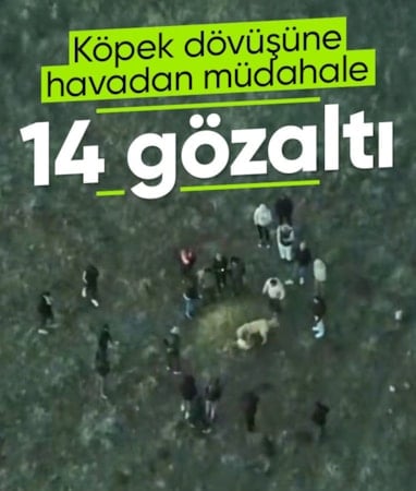Afyonkarahisar'da köpek dövüştüren şahıslara jandarmadan 'drone'lu baskın
