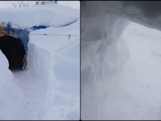 Kars’ta kar altında yaşam: Evlerine tünel kazarak ulaşıyorlar