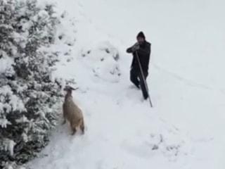 Nallıhan’da çoban, yaklaşan drone'u tehdit sanıp tüfek doğrulttu