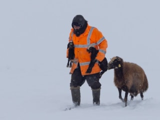 Bingöl Karlıova’da besicilerin kış mesaisi