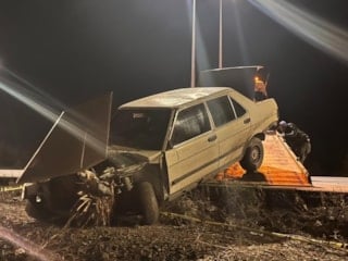 Konya’da yola çıkan domuz can aldı