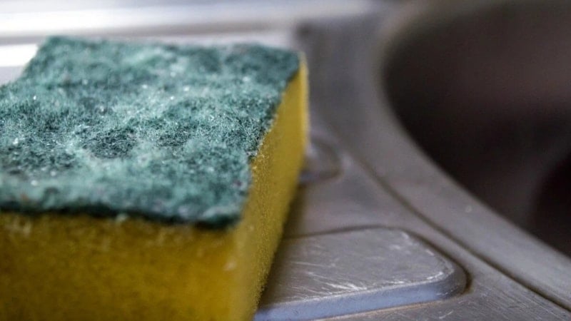 Duyan bulaşık süngerini çöpe atıyor: Hem ekonomik hem hijyenik...