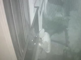 İstanbul'da eve girip anahtarı çaldı: Otomobile benzin alırken yakalandı