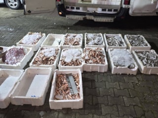 Kastamonu’da kaçak avlanan 1,5 ton balığa el konuldu