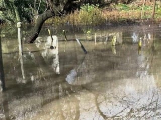 Çeşme'yi sağanak vurdu: Pazaryeri su altında kaldı