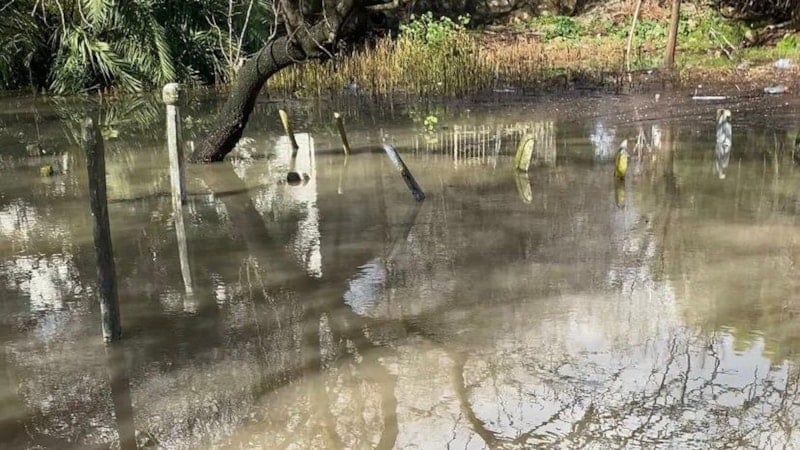 Çeşme'yi sağanak vurdu: Pazaryeri su altında kaldı