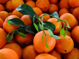 Türkiye’nin narenciye geliri 1,4 milyar doları aştı