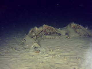 İstanbul'da 50 yıllık gizem: THY'ye ait uçağın enkazından yeni parçalar