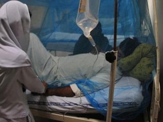 Karantina başladı! Yeni virüs alarmı: Direkt beyni vuruyor...