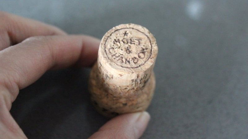 Şişe mantarının bilinmeyen faydası! Dil bilimciler öneriyor...