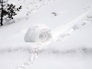 Ilgaz'da görüntülendi: İlginç doğa olayı! Gören bir daha baktı...
