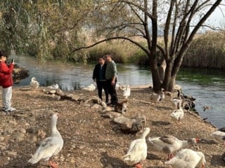Muğla Akyaka, The Guardian'da