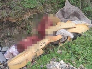 Sakarya'da yol kenarındaki kemikler ekipleri at kasaplarına götürdü