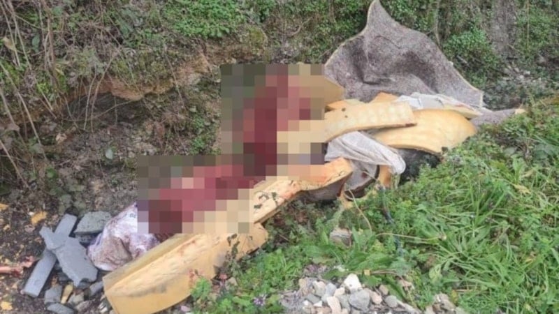 Sakarya'da yol kenarındaki kemikler ekipleri at kasaplarına götürdü