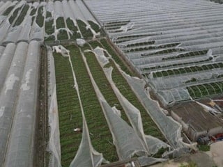 Bakan Yumaklı: Antalya’daki afetten etkilenen üreticiler için tüm imkanlar seferber