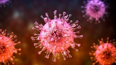 Hindistan'da görüldü: Nipah virüsü yayılıyor mu