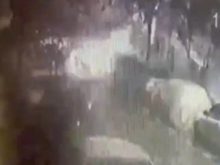 Gaziosmanpaşa’da aynı apartmana ikinci patlayıcı saldırısı