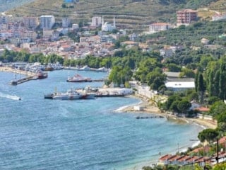 Marmara Adası’nda şap alarmı